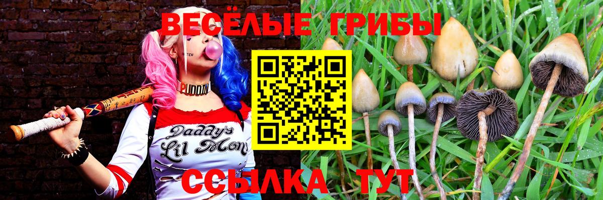 Псилоцибиновые грибы MAGIC MUSHROOMS  где купить наркоту  Краснотурьинск  Вход с VPN 
